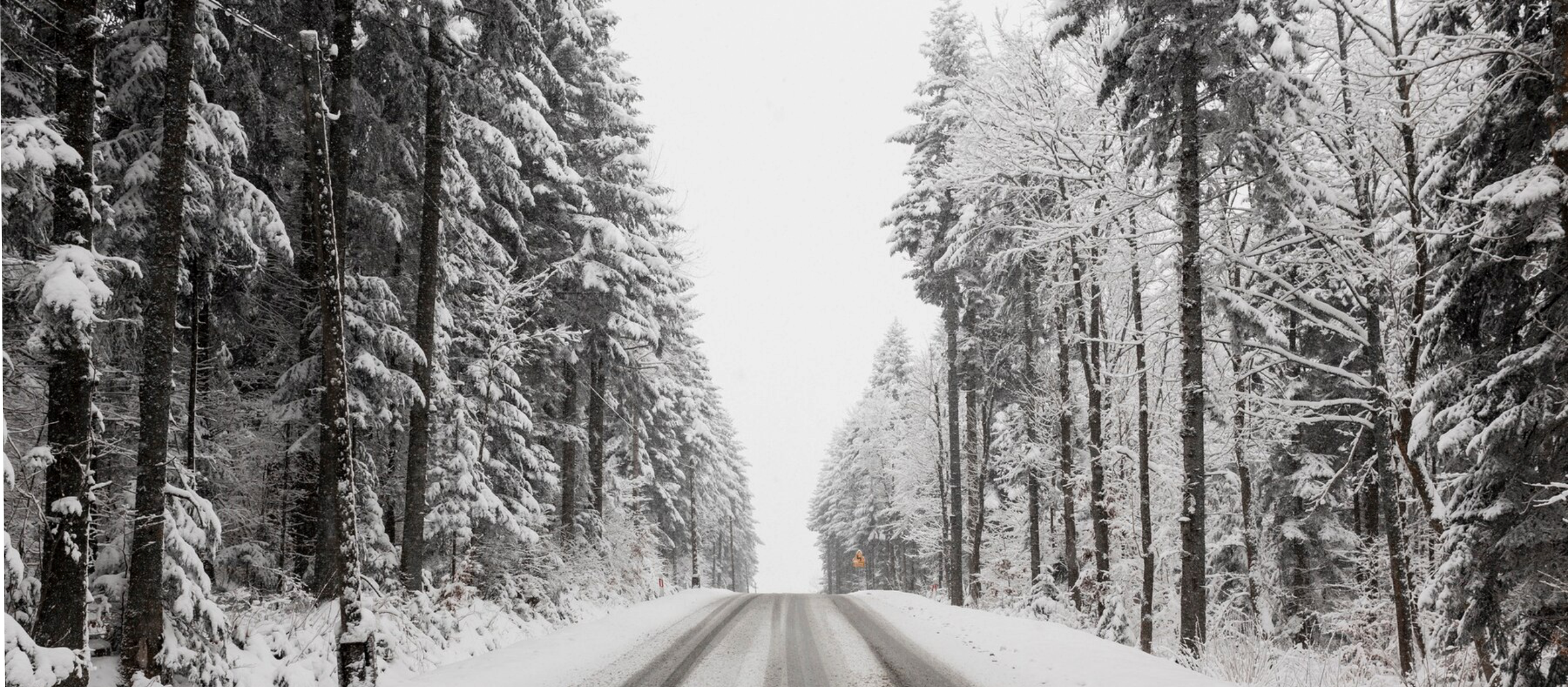 ... par Balto Eņģeli